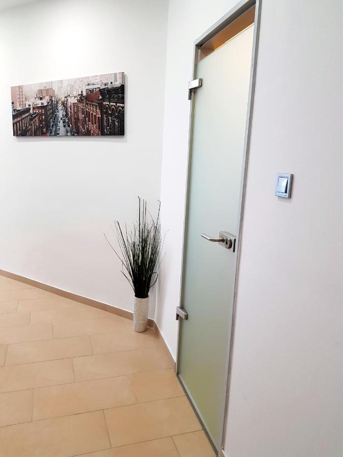 Luxurious Apartment With Balconies In Downtown Bp Budapest Luaran gambar